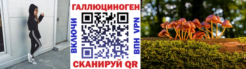 Псилоцибиновые грибы GOLDEN TEACHER  наркота  Пионерский 